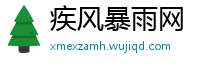 疾风暴雨网